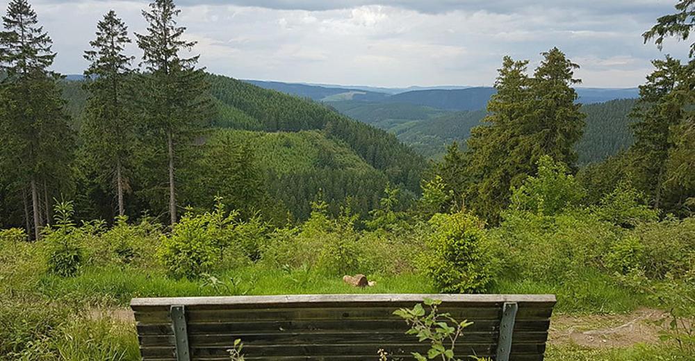 Ferienhaus Astenblick - Ideal Fuer Weihnachtsfeiern Und Familienfeiern Bietet Schlafplaetze Fuer Bis Zu 35 Personen Villa Винтерберг Екстериор снимка